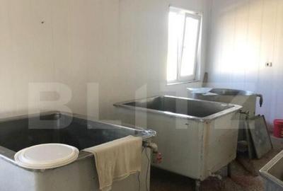 Afacere la cheie + casa, 160mp, Baraitaru - 30