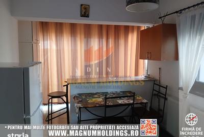 Garsonieră în Banat - 1