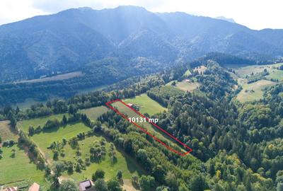 Investitie turistica unica - Bran Sohodol 10131mp-pe traseul Via Transilvanica - 3