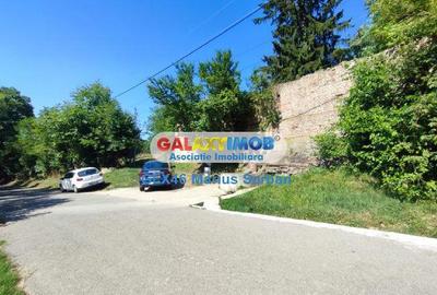 Teren Construcții intravilan de 2248 mp, în Răzvad - 4