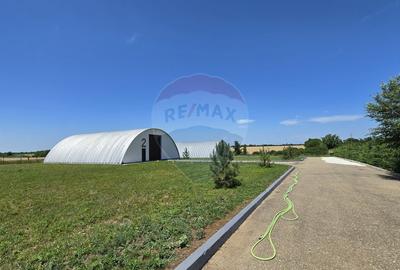 Spațiu comercial, de 1,400 mp, în Potigrafu - 12