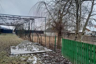 Casă cu 2 camere în Central - 5