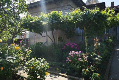 Casa zona centrala Casa zona centrala - 1