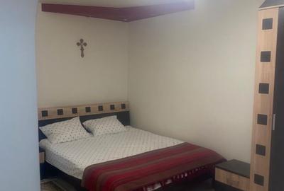 Apartament cu 2 camere, mobilat în Barieră - 2