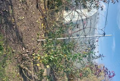 Casă cu 3 camere cu Teren 2000 Mp în Platonești - 10