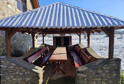 Casa de vacanta cu 6 camere + teren suprafata 7.384 mp, Bradet, Bihor - 11