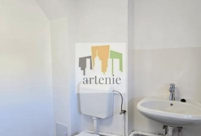 Pache Protopopescu - Plantelor apartament in vila - 6