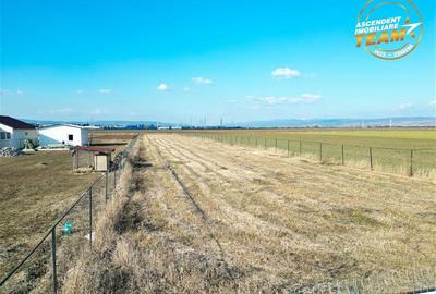 Teren Construcții intravilan de 2498 mp, în Chilieni - 18