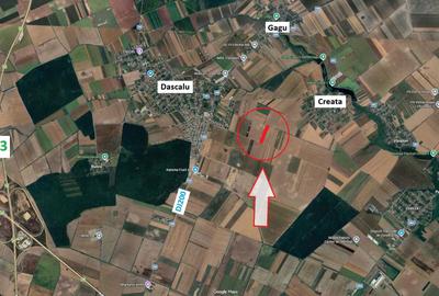 Teren de 22715 mp, în Dascălu - 4