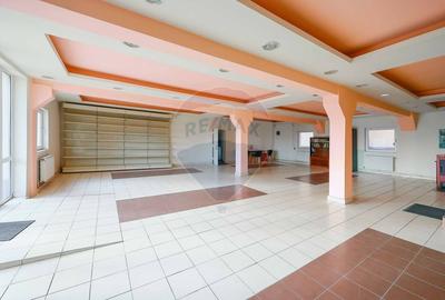 Spațiu industrial, de 500 mp, în Vest - 17