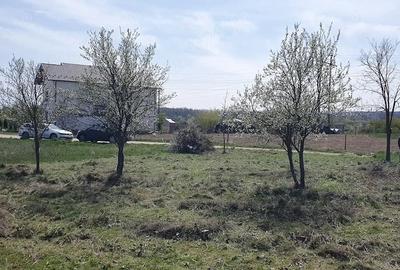 Teren de 500 mp, în Mărăcineni