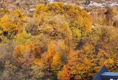 Casă cu 6 camere cu Teren 1500 Mp în Central - 9