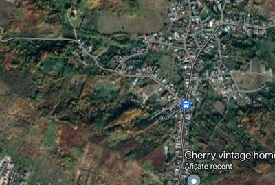 Teren de 3255 mp, în Viforâta - 9