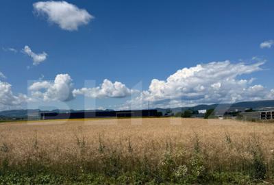 Teren intravilan 20000 mp, Parc Industrial Badeni - 4