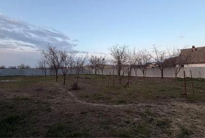 Apartament cu 2 camere decomandat în Jimbolia - 3