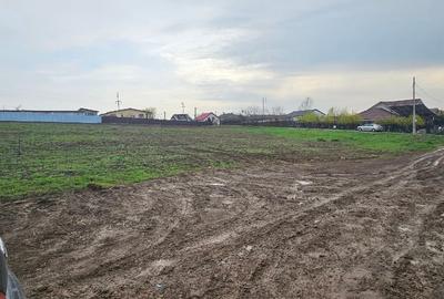 Teren Construcții extravilan de 6000 mp, în Șendreni - 2
