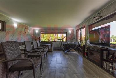 Domeniu superb: vila S+P+M si terenul aferent - 9