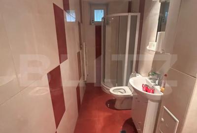 Apartament cu 4 camere decomandat în Elisabetin - 4