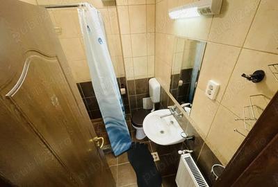 Garsonieră decomandată în Tudor - 3