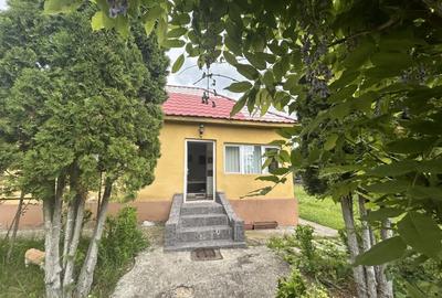 VAND CASUTA CU 3120 MP TEREN, SURDESTI BREAZA - 7