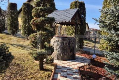 Vila superba de vanzare in zona Livezeni cu priveliste deose - 7