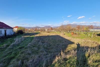 De vânzare: Teren 25 ari parcelabil, în Săsar - 5