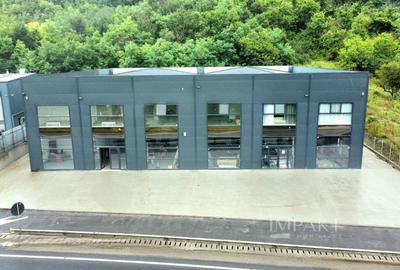 Inchiriere hala/show room/Spatiu comercial Cluj-Baciu - 1