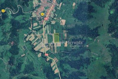 Borlovenii Noi, Teren Drept, 16000mp, la Limita Localitatii - 14