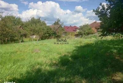 Casă cu 4 camere în Birtin - 11