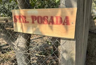 Teren intravilan agricol 5000 mp2 - 2