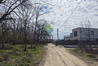 Teren Construcții intravilan de 2000 mp, în Balotești - 7