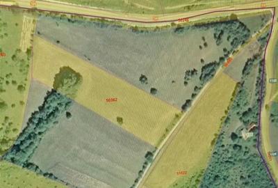 Teren Construcții intravilan de 17500 mp, în Șinteu