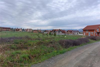 RECO Teren 4935mp in Beius - 3