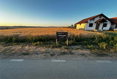 Teren de 2303 mp, în Cheriu - 7