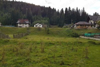 Teren de 1360 mp, în Voroneț - 5