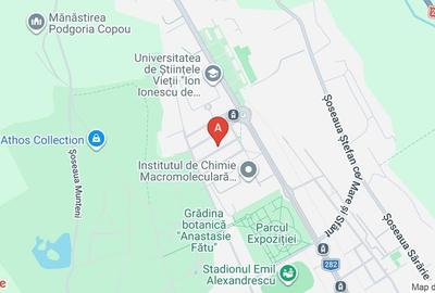 Birou, de 26 mp, în Copou - 1