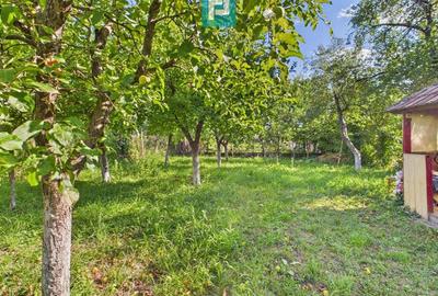 Casa cu 4 camere, curte ?i atelier mecanic - Sebe? - 15