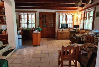 De Vanzare Casa si Cabana 74 ari Viille Satu Mare - 6