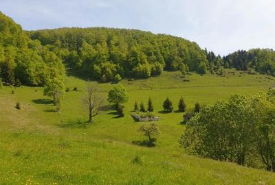 Teren de 1000 mp, în Dâmbovicioara - 2