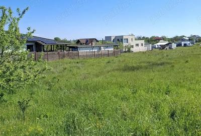 Teren de 1158 mp, în Smeura - 8