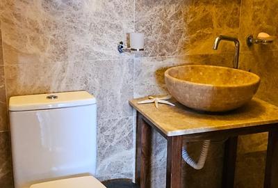 Domenii, apartament mobilat si utilat complet Domenii, apartament mobilat si utilat complet - 18