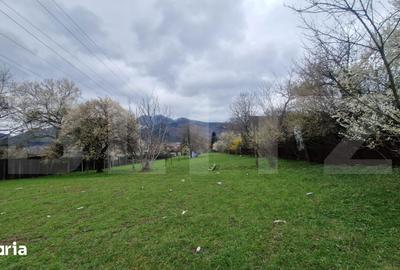 Teren de 4300 mp, în Baciu - 4