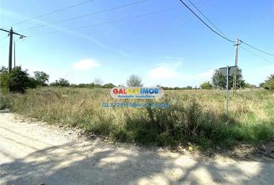 Vanzare teren intravilan Baicoi Vanzare teren intravilan Baicoi - 4