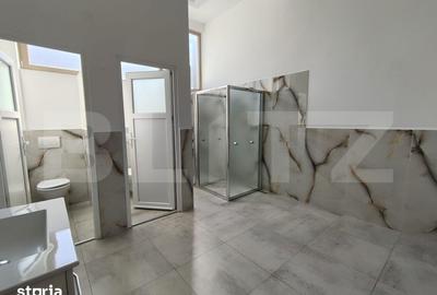 Spațiu comercial, de 115 mp, în Cantemir