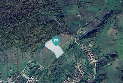 Teren faneata langa padure - Hunedoara - 2