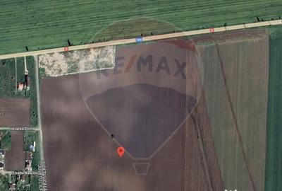 Teren de 2500 mp, în Belciugatele