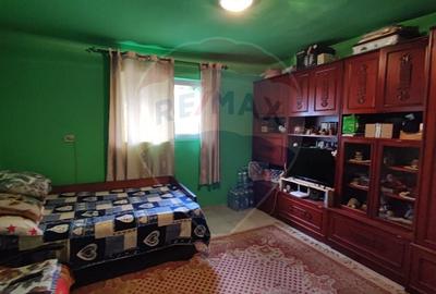 Casa cu 4 camere si teren de vanzare in com. Husasau de Tinca/Fonau - 5