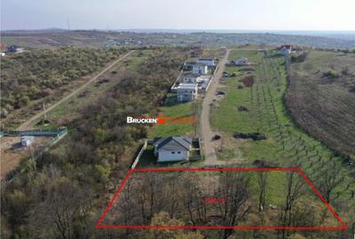 Teren de 2500 mp, în Central