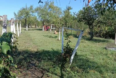 Casă cu Teren 1439 Mp în Alioș - 5