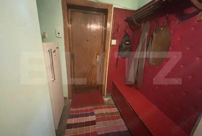 Apartament cu 2 camere semidecomandat, mobilat în Botizului